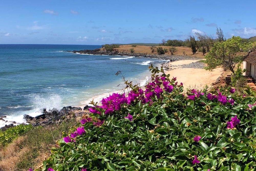 High-End Resort Condo Nestled on Molokai Shoreline
